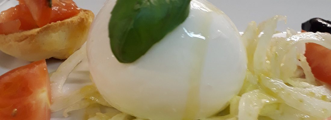 mozzarella